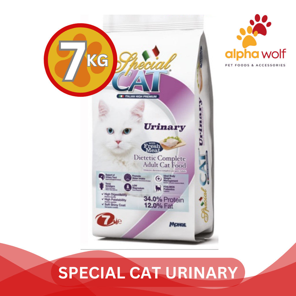 Special Cat Dry Food